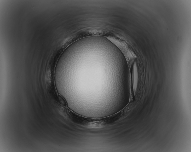 X0000086780700200705041528