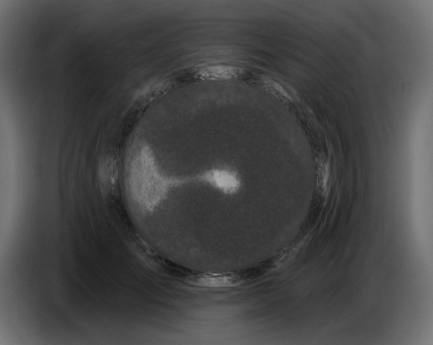 X0000086780701200705041528