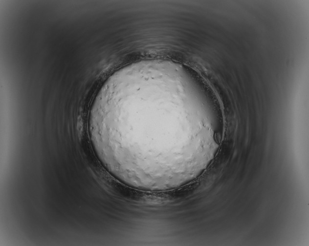 X0000086780703200705041528