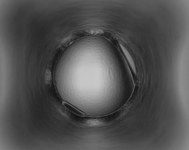 X0000086780704200705041528