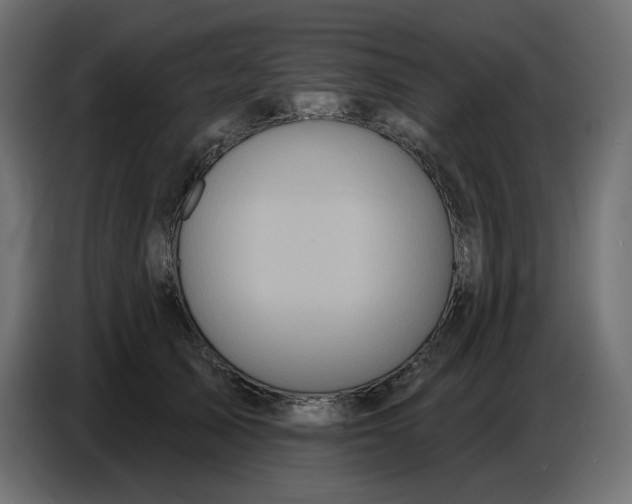 X0000086780705200705041528