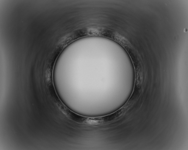 X0000086780706200705041528