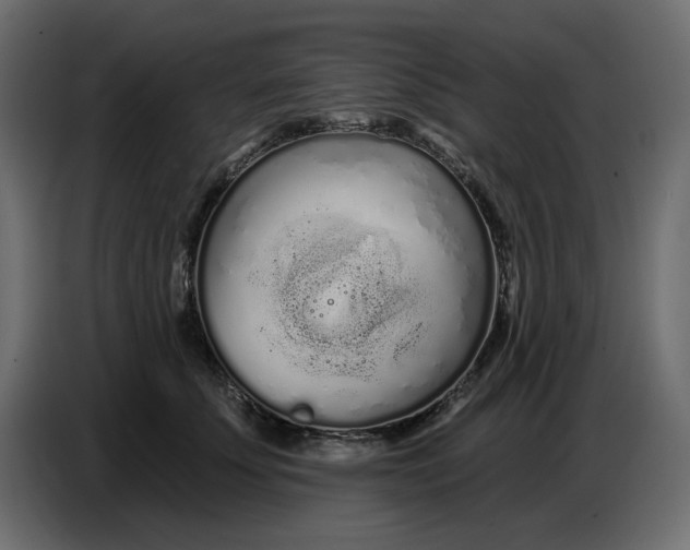 X0000086780707200705041528