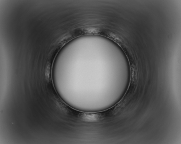 X0000086780710200705041528