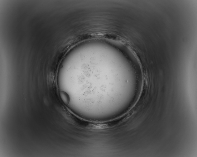 X0000086780711200705041528