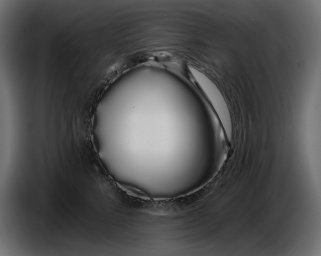 X0000086780712200705041528