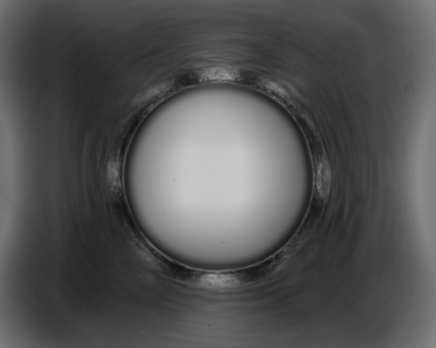 X0000086780714200705041528