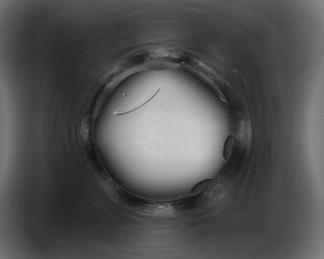 X0000086780715200705041528