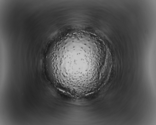 X0000086780716200705041528