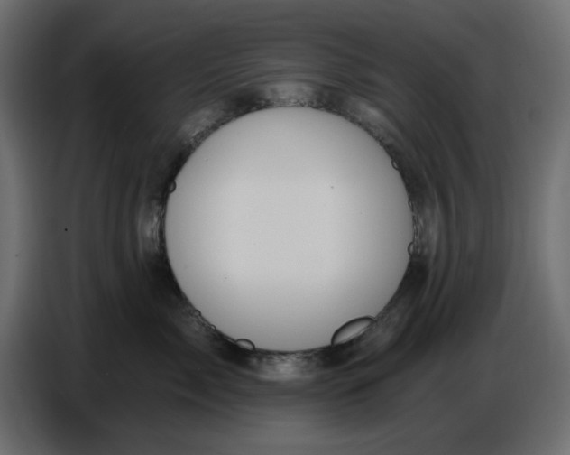 X0000086780717200705041528