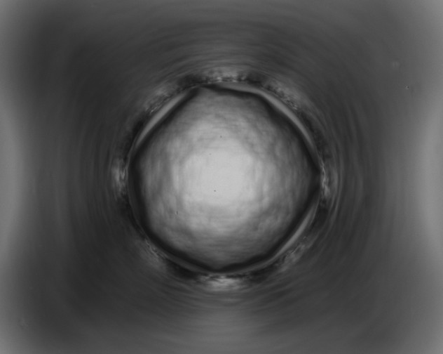 X0000086780718200705041528