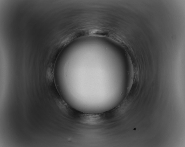 X0000086780719200705041528