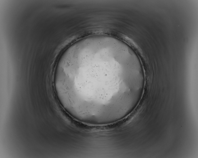 X0000086780721200705041527