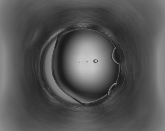 X0000086780722200705041527