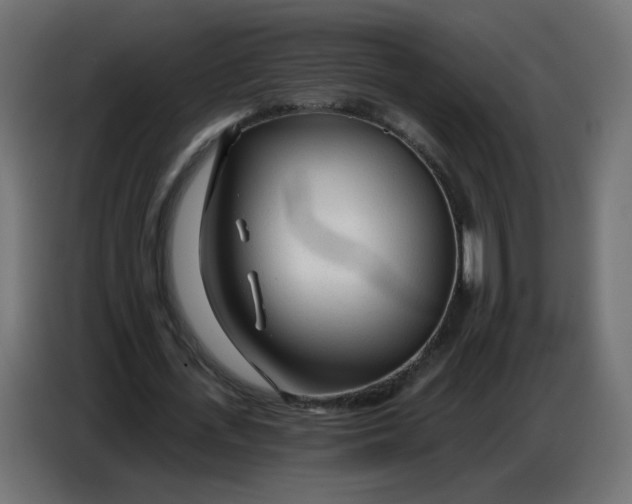 X0000086780723200705041527