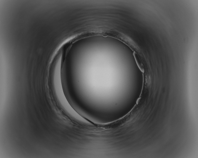 X0000086780724200705041527