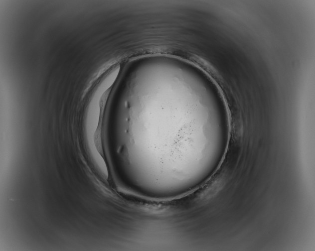 X0000086780725200705041527