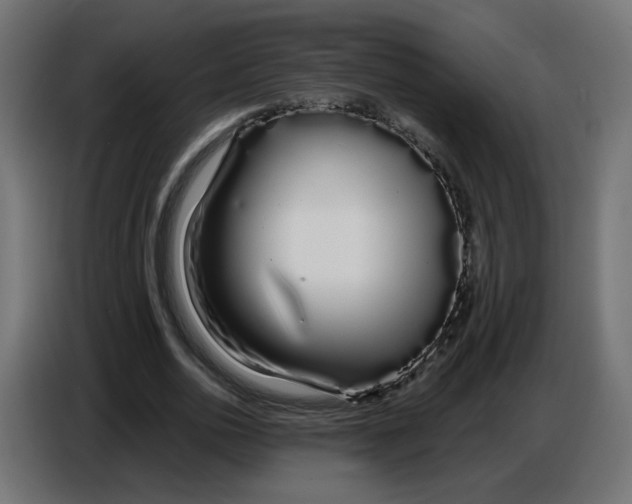 X0000086780726200705041527