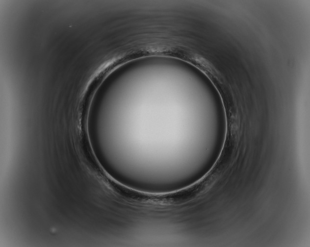 X0000086780727200705041527