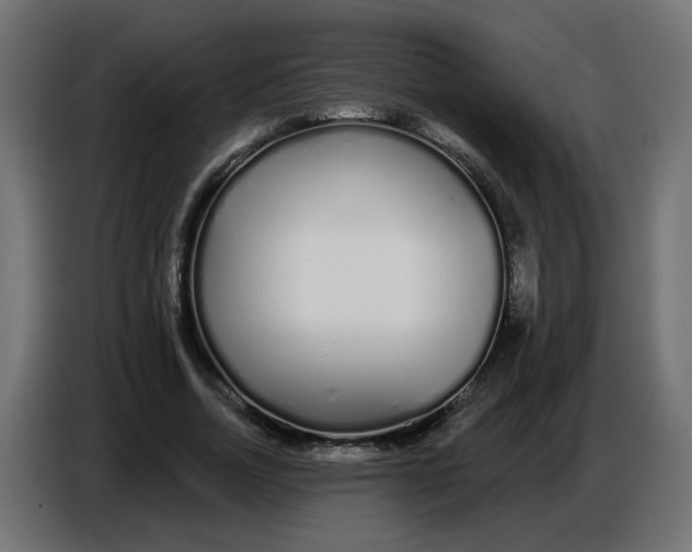 X0000086780730200705041527