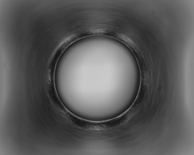 X0000086780731200705041527