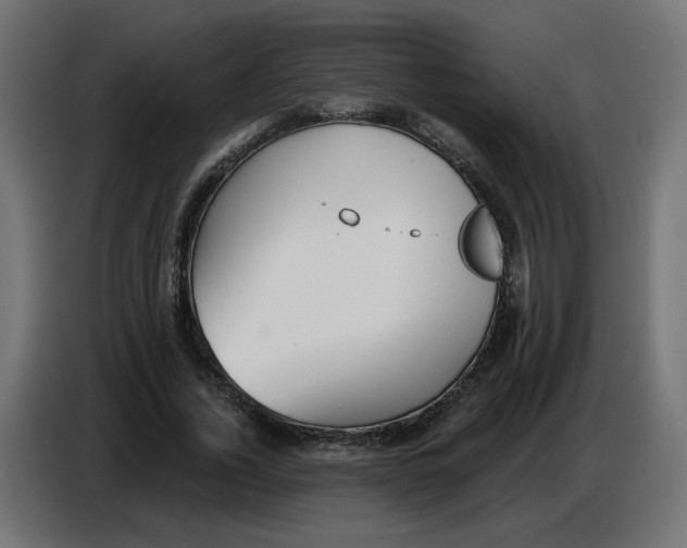 X0000086780732200705041527