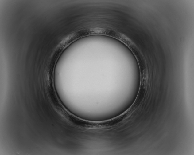 X0000086780734200705041527