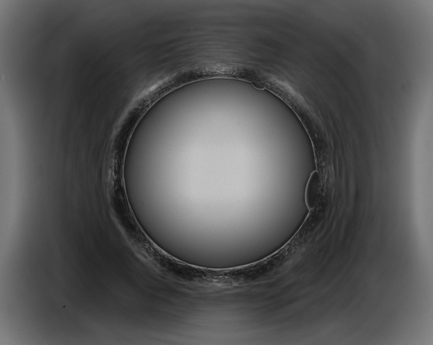 X0000086780736200705041527