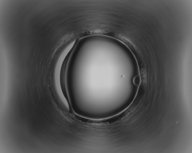 X0000086780738200705041527