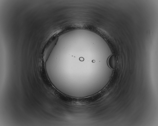 X0000086780739200705041527