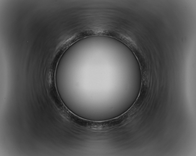 X0000086780740200705041527