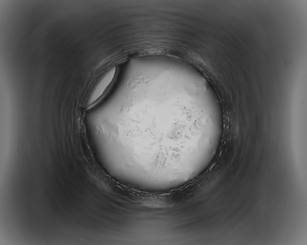 X0000086780741200705041528