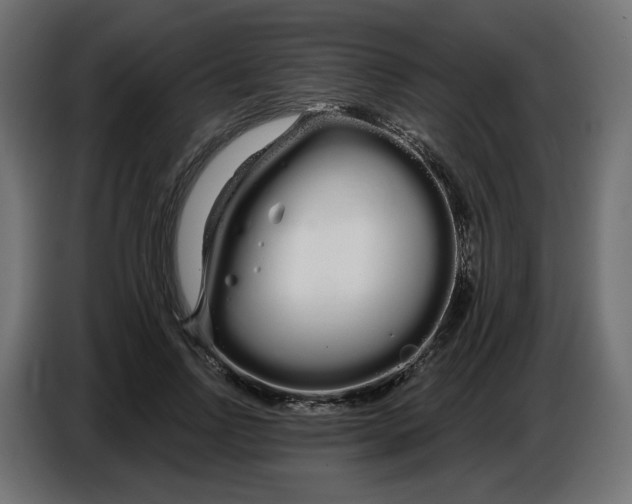 X0000086780742200705041528