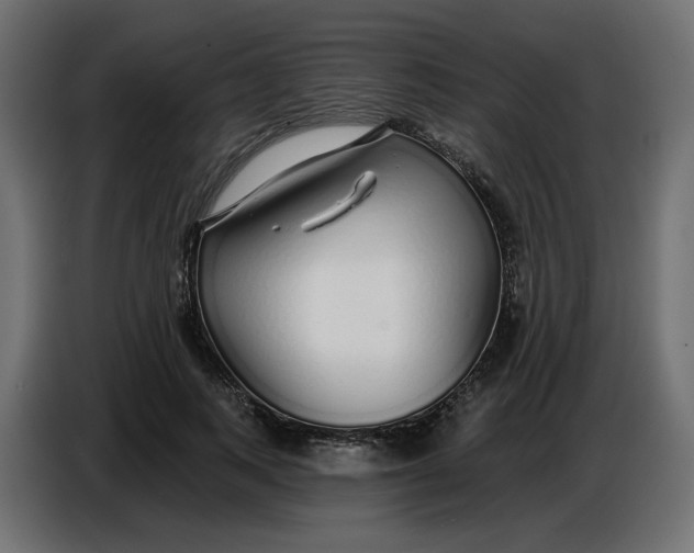 X0000086780743200705041528