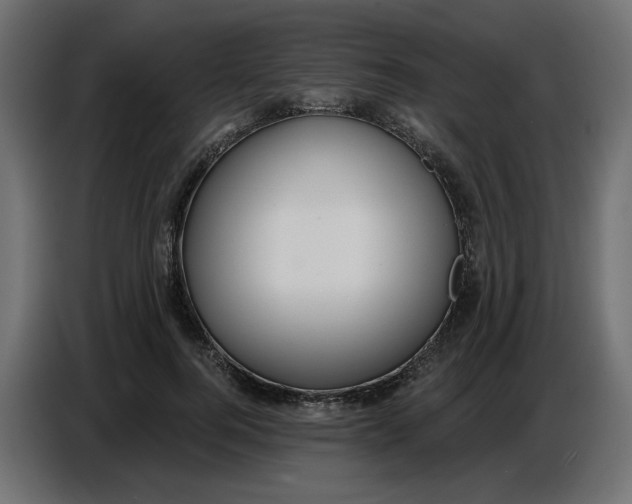 X0000086780744200705041528