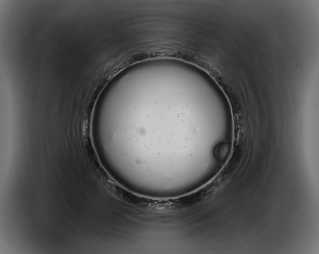 X0000086780745200705041528