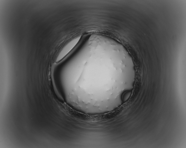 X0000086780746200705041528