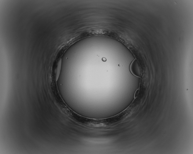 X0000086780747200705041528