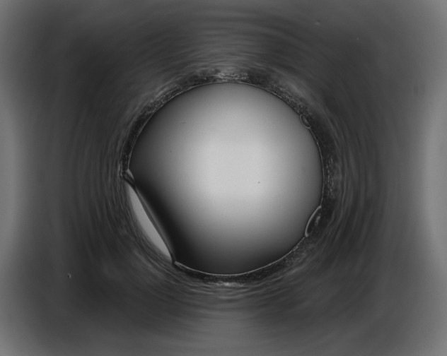 X0000086780748200705041528