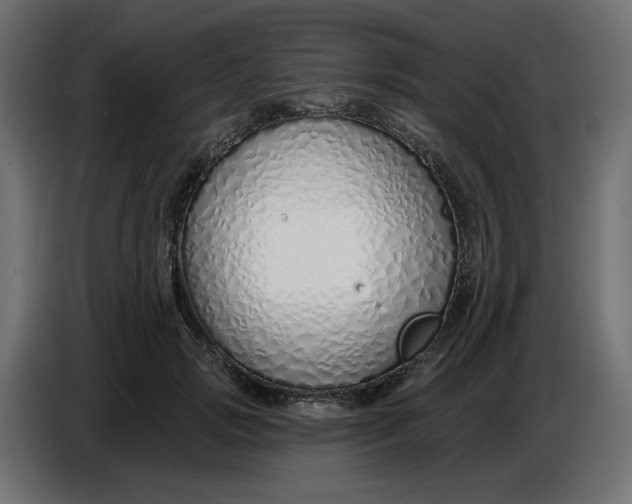 X0000086780749200705041528