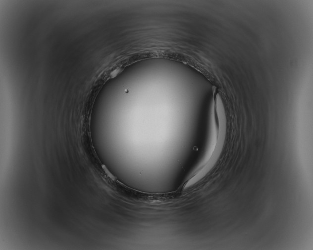 X0000086780750200705041528