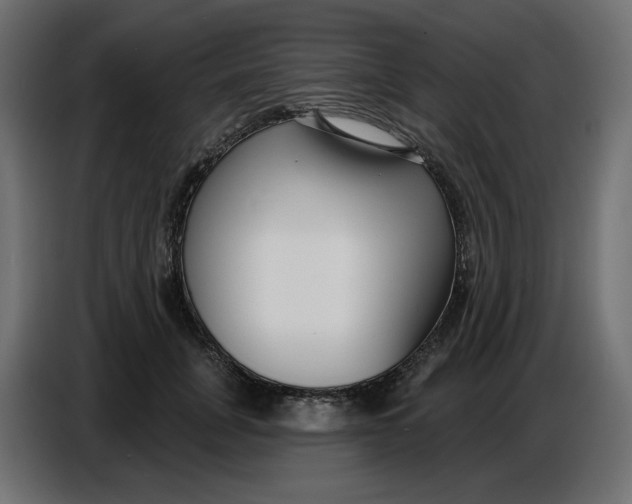 X0000086780751200705041528