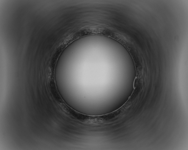 X0000086780752200705041528