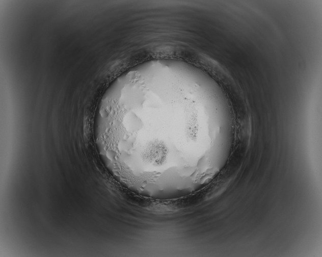 X0000086780753200705041528