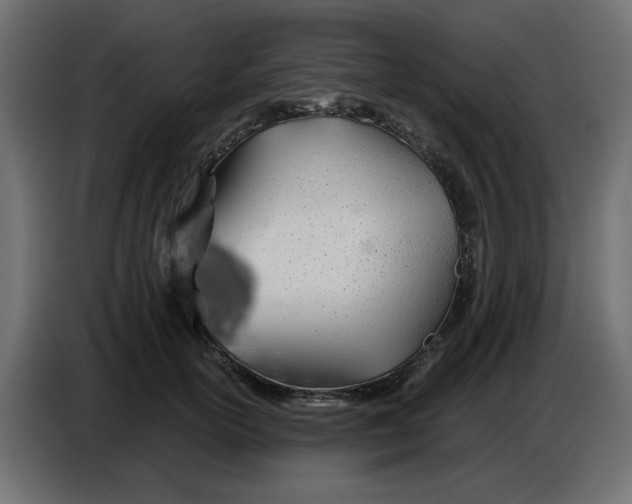 X0000086780754200705041528