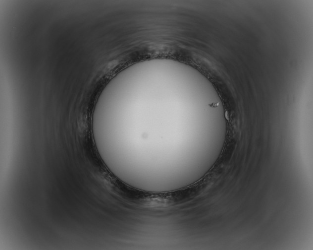 X0000086780756200705041528