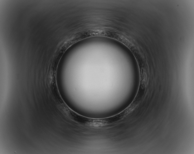 X0000086780758200705041528