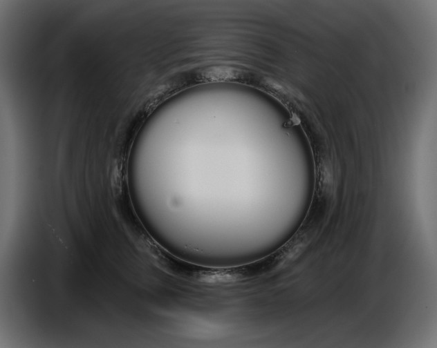 X0000086780759200705041528