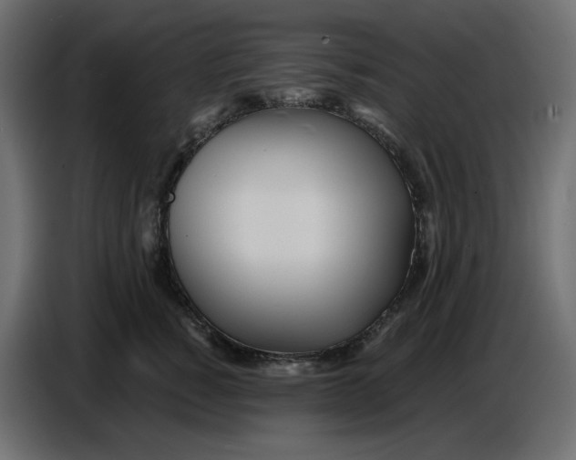 X0000086780760200705041528