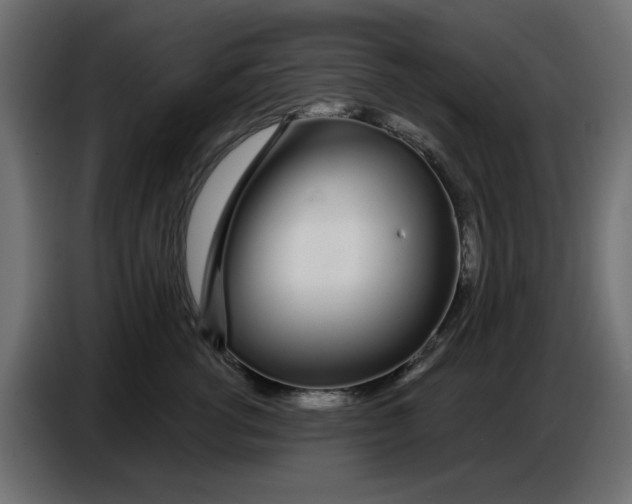 X0000086780762200705041528